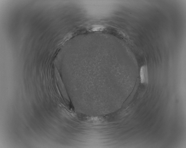 X0000078291443200611172110