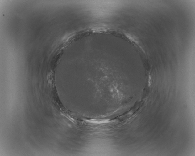 X0000078291445200611172110