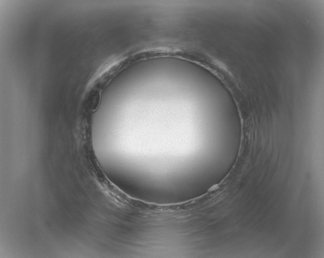 X0000078291448200611172110