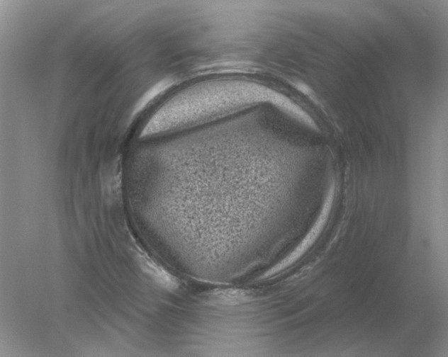 X0000078291450200611172110