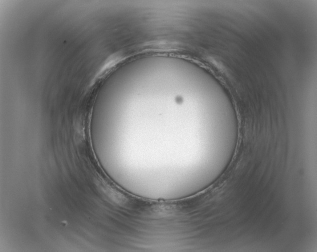 X0000078291451200611172110