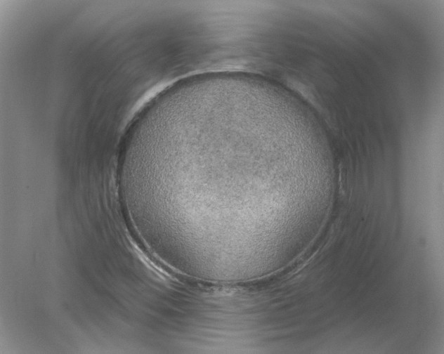 X0000078291452200611172110