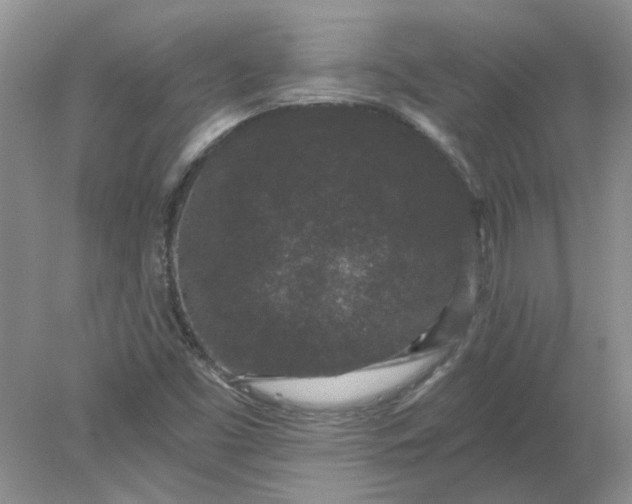 X0000078291453200611172110