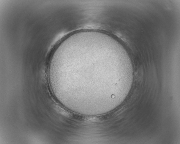 X0000078291454200611172110