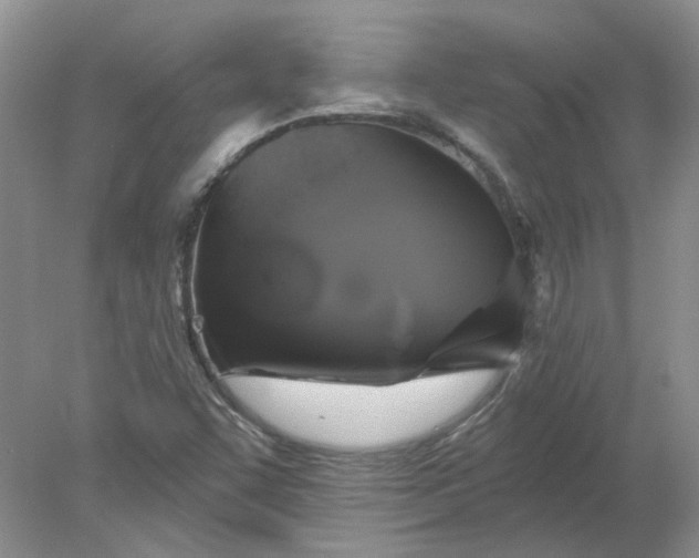 X0000078291455200611172110