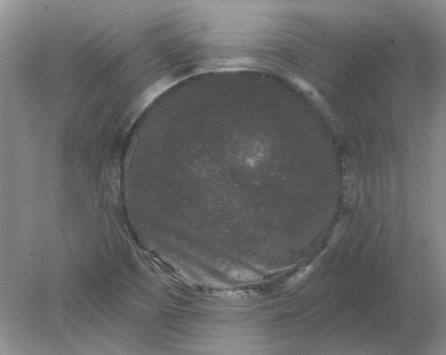 X0000078291457200611172110