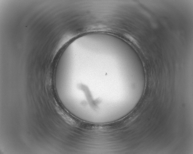 X0000078291458200611172110