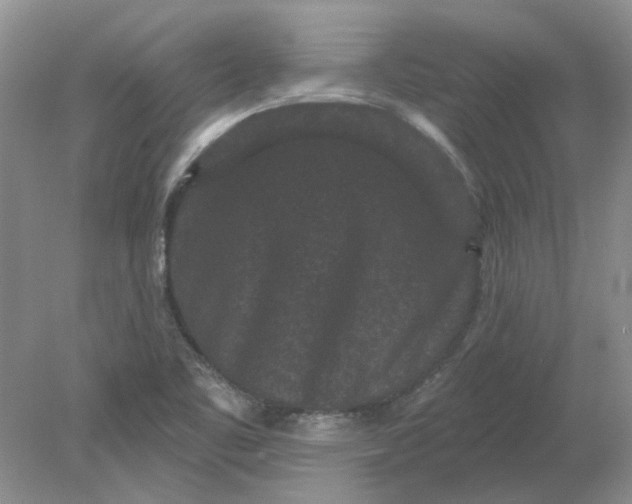 X0000078291461200611172110