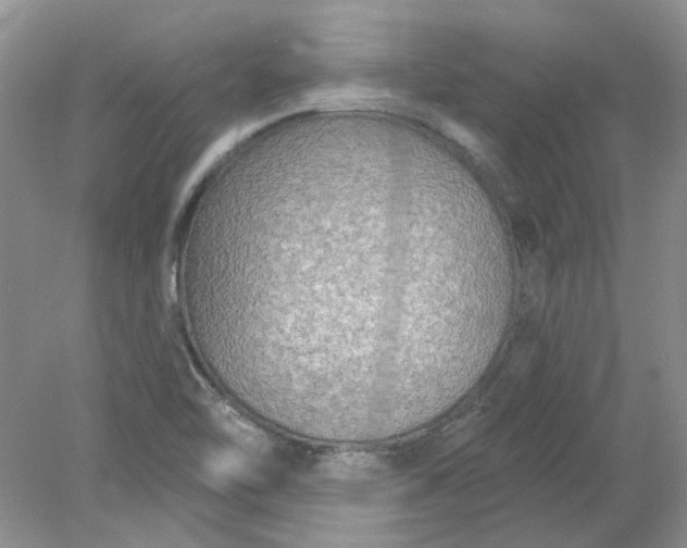 X0000078291462200611172110