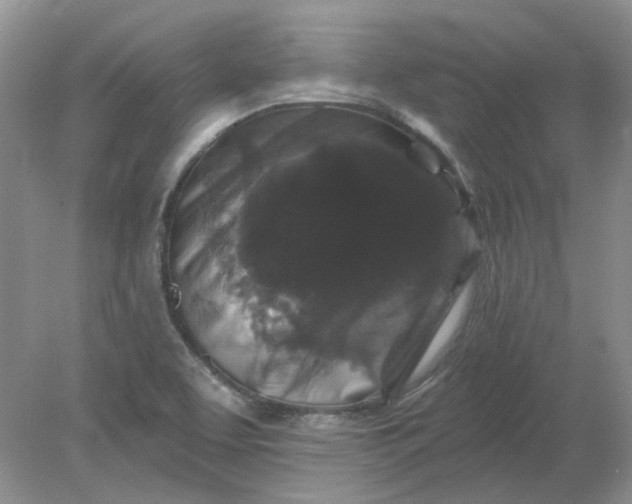 X0000078291463200611172110