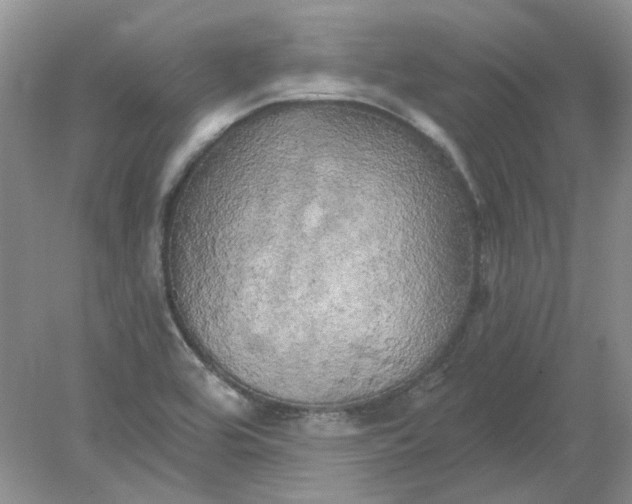 X0000078291464200611172110