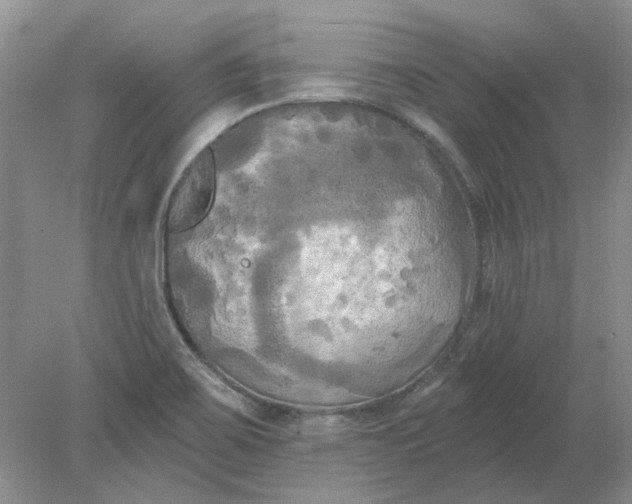 X0000078291467200611172110