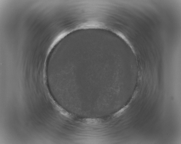 X0000078291469200611172109