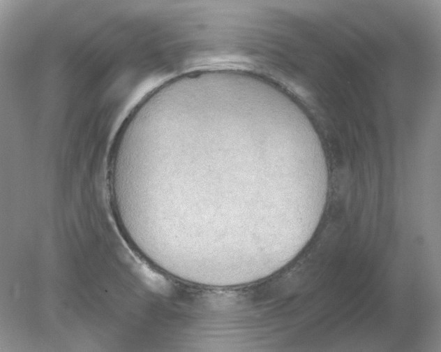 X0000078291470200611172109