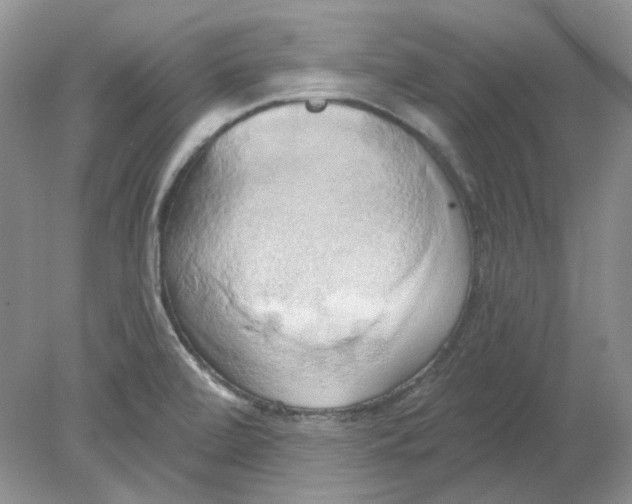 X0000078291472200611172109