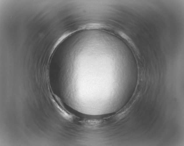 X0000078291473200611172109