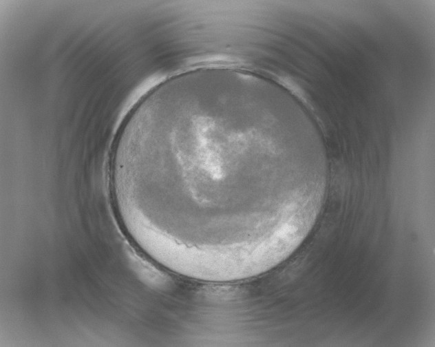 X0000078291474200611172109