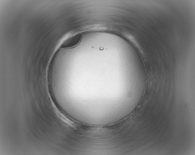 X0000078291475200611172109