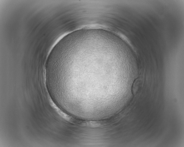 X0000078291476200611172109