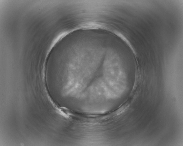 X0000078291477200611172109