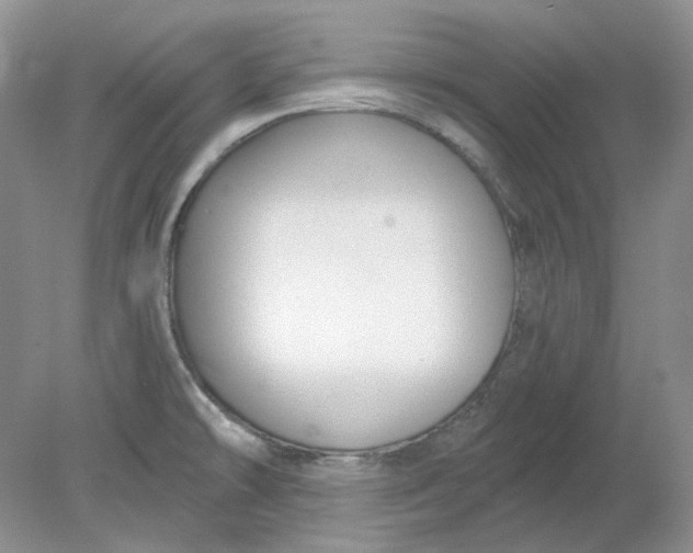 X0000078291478200611172109