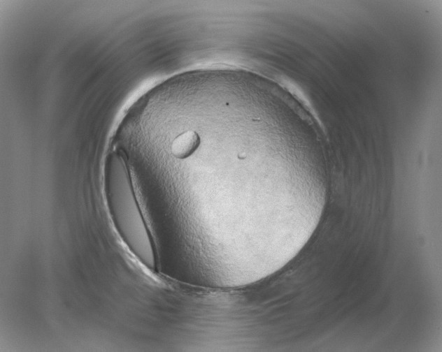 X0000078291480200611172109