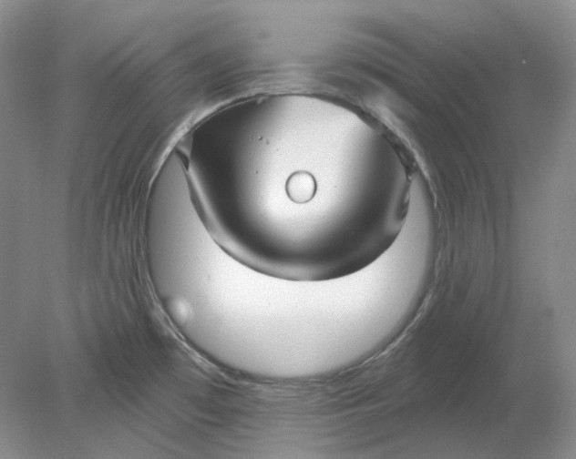 X0000078291481200611172109