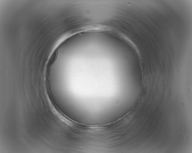 X0000078291483200611172109