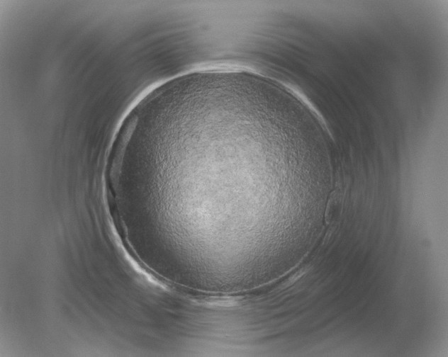 X0000078291484200611172109