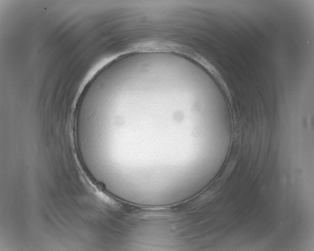 X0000078291486200611172109