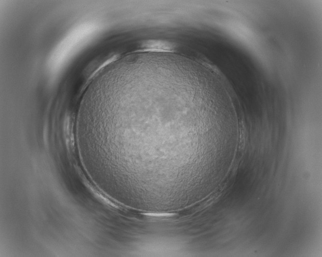 X0000078291487200611172109