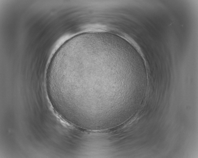 X0000078291488200611172109