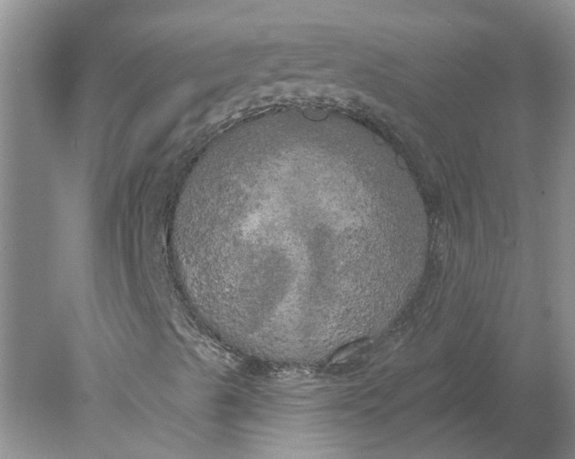 X0000078291489200611172108