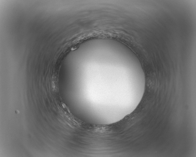 X0000078291490200611172108