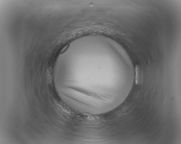 X0000078291491200611172108