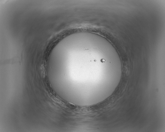 X0000078291493200611172108