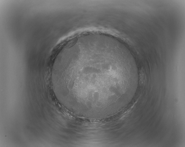 X0000078291494200611172108