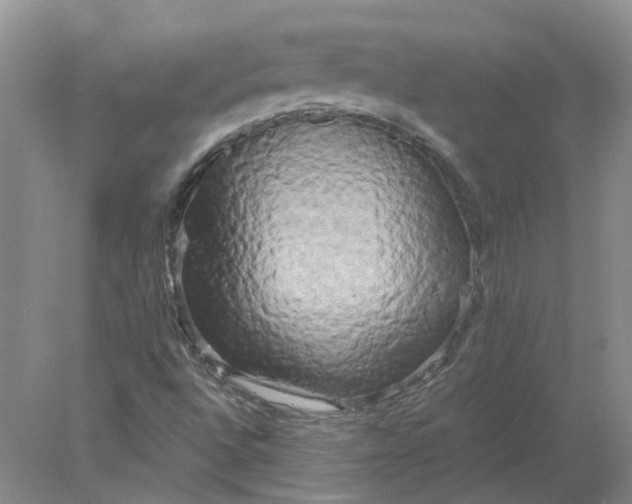 X0000078291496200611172108