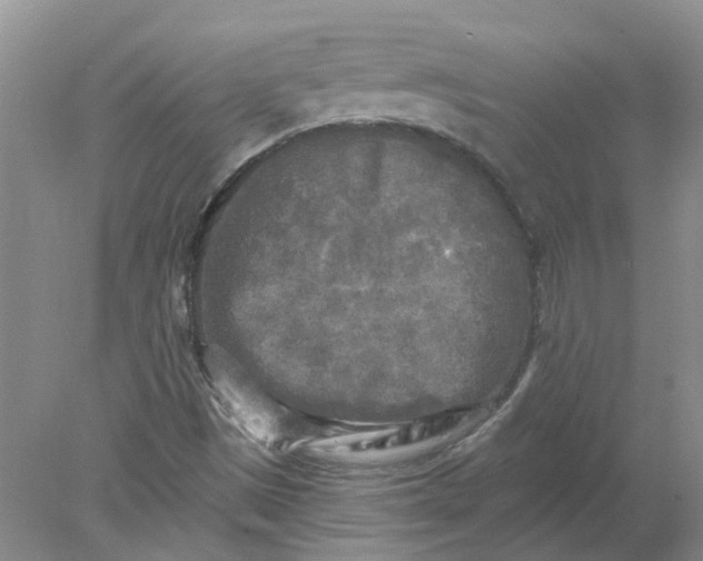 X0000078291497200611172108