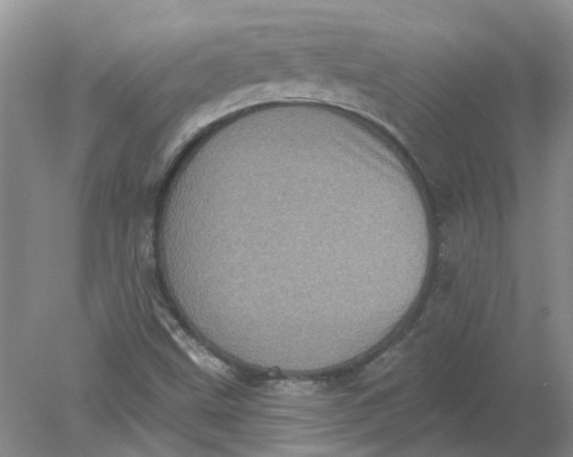 X0000078291499200611172109