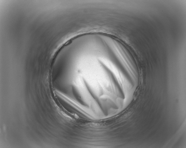 X0000078291500200611172109