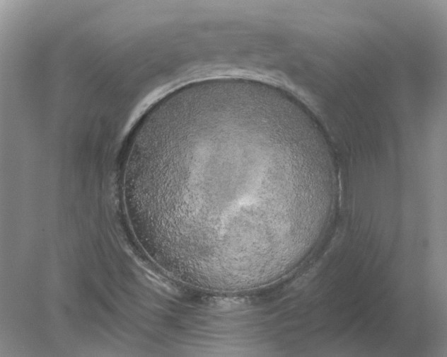 X0000078291501200611172109