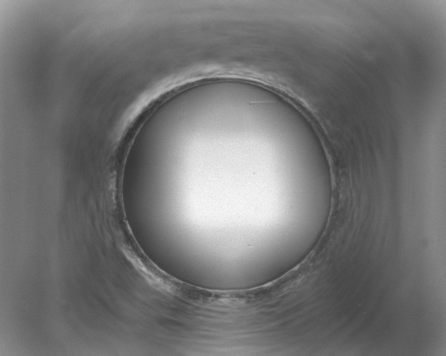 X0000078291503200611172109