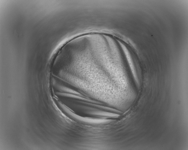 X0000078291504200611172109