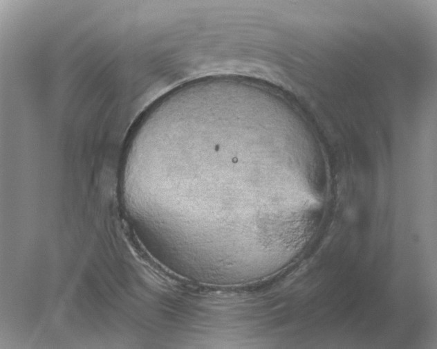 X0000078291505200611172109