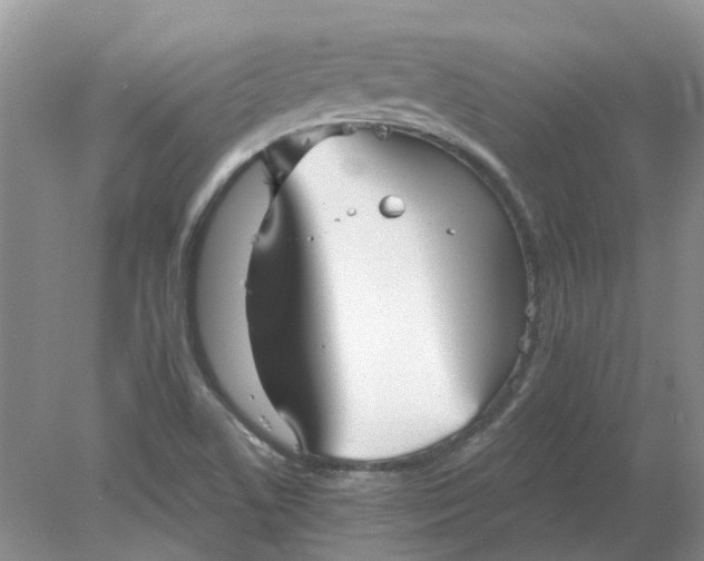 X0000078291506200611172109