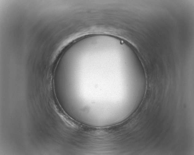 X0000078291507200611172109