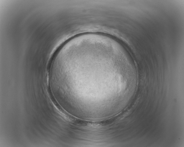 X0000078291509200611172109