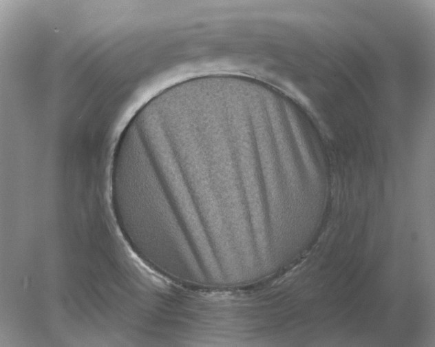 X0000078291512200611172109