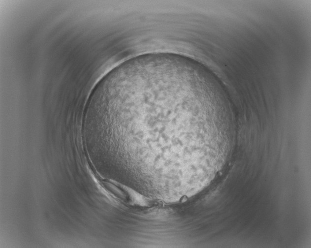 X0000078291513200611172109